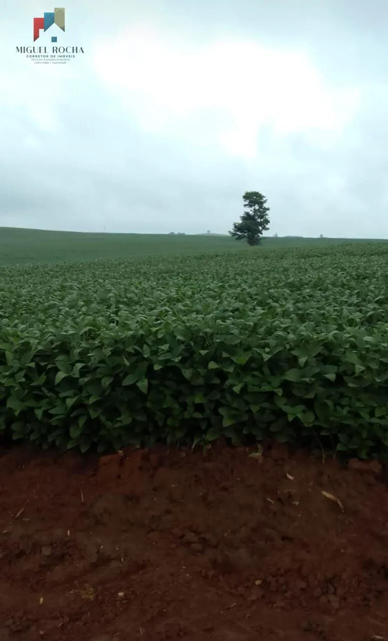 Imagem Fazenda região Itapetininga SP