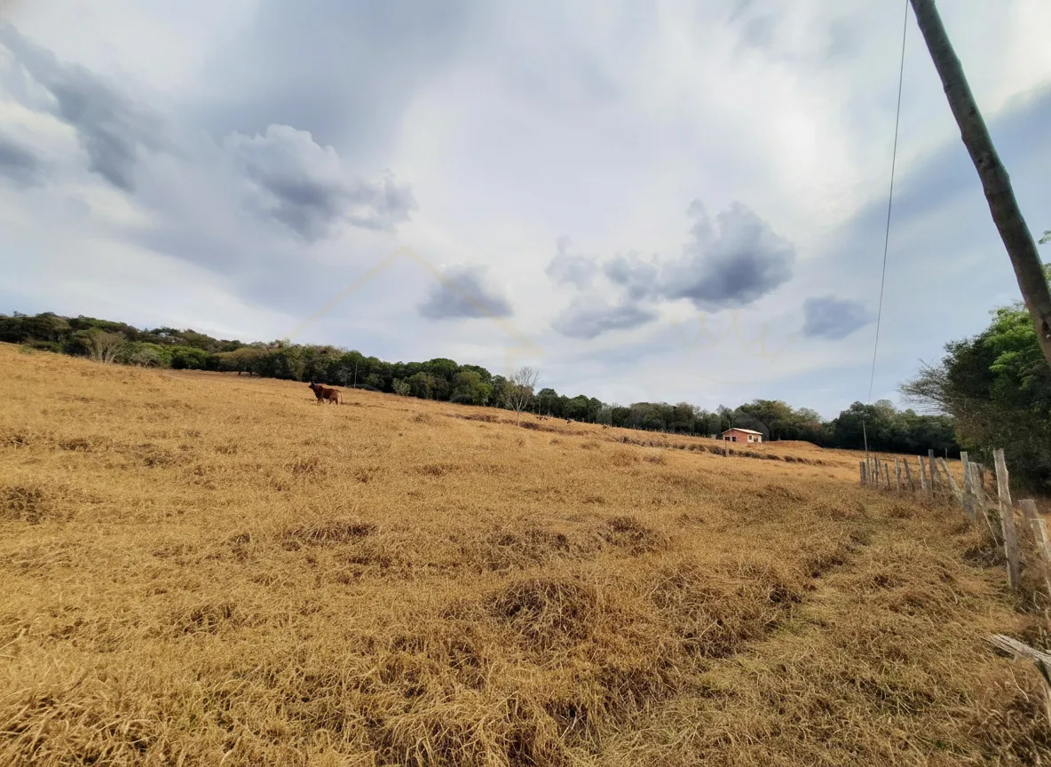 Imagem Gleba 23.800 m² à venda em Correias, Bandeira do Sul