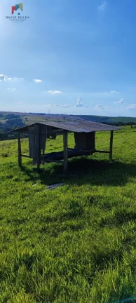 Imagem Sítio a venda em Itapetininga SP