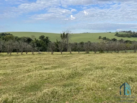 Imagem Chácara, Haras alto padrão, para pessoas exigentes, Mansão padrão, casa em Cambé Rolândia PR