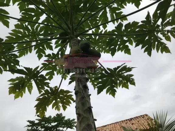 Imagem Chacara residencial dentro da cidade