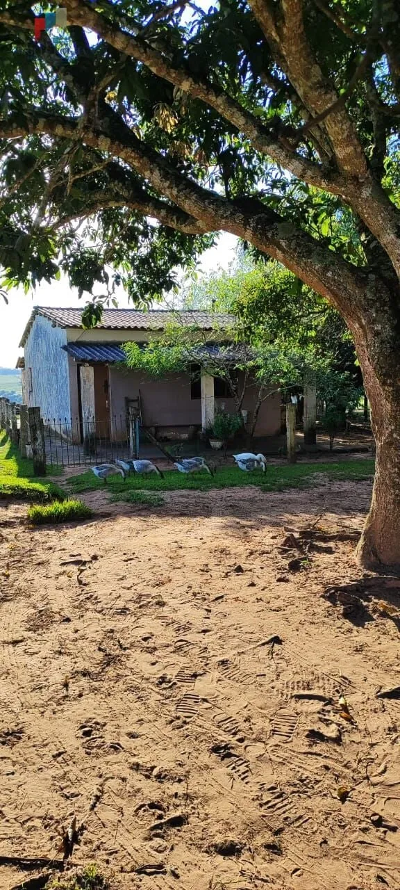 Imagem Sítio a venda em Itapetininga SP