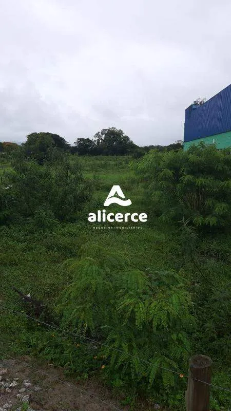 Imagem Terreno à venda com , 11.880m² em Sertão do Maruim São José