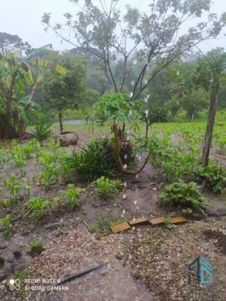 Imagem Chácara a venda, com 03 tanques de Peixes, área de plantio, Poço Semi artesiano, em Agudos do Sul - PR