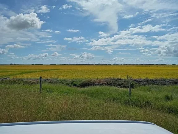 Imagem Fazenda à Venda – 194 Hectares – Viamão/RS