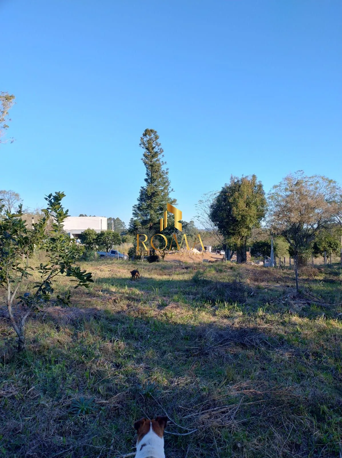 Imagem Terreno à venda Parque Serrano I Itaara/RS