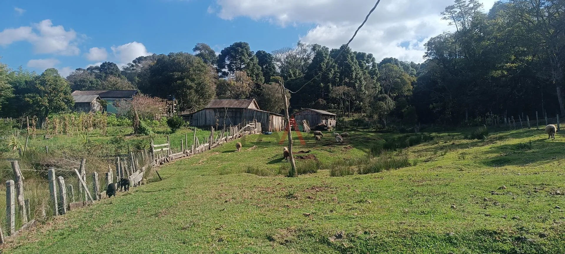 Imagem Chácara à venda com 12,5884 hectares, PALMEIRINHA, GUARAPUAVA - PR