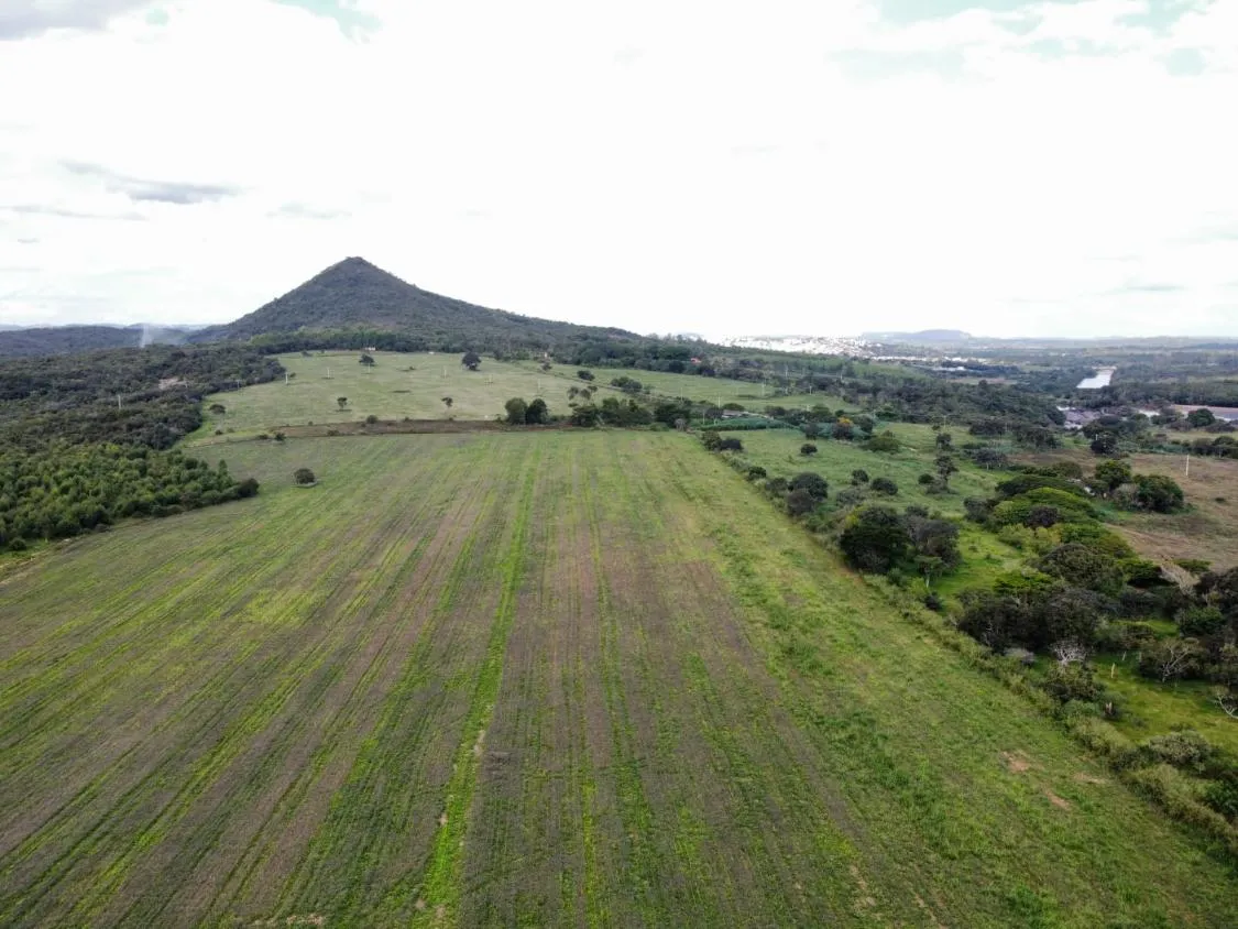 Imagem FAZENDA DE ALTO PADRÃO À VENDA - CARMO DO CAJURU (MG) 120 hectares de área total