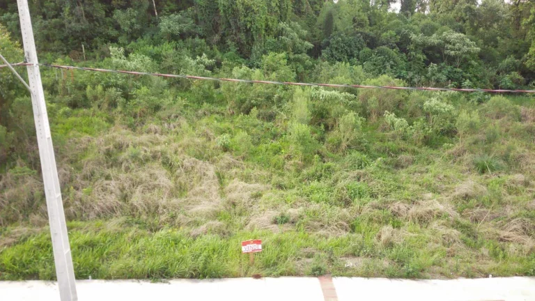 Imagem Terreno para Venda em Concórdia, São Cristóvão