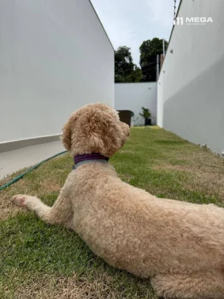 Imagem Casa com 3 dormitórios à venda, 146 m² por R$ 900.000,00 - Nova Ponta da Fruta - Vila Velha/ES