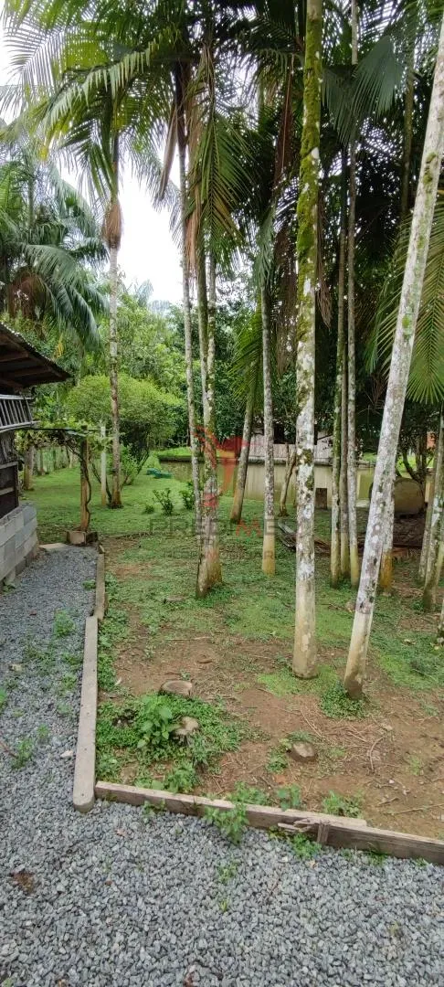 Imagem Chácara em Blumenau. Com rancho em construção. Lagoa com água. Poço artesiano. Pomar
