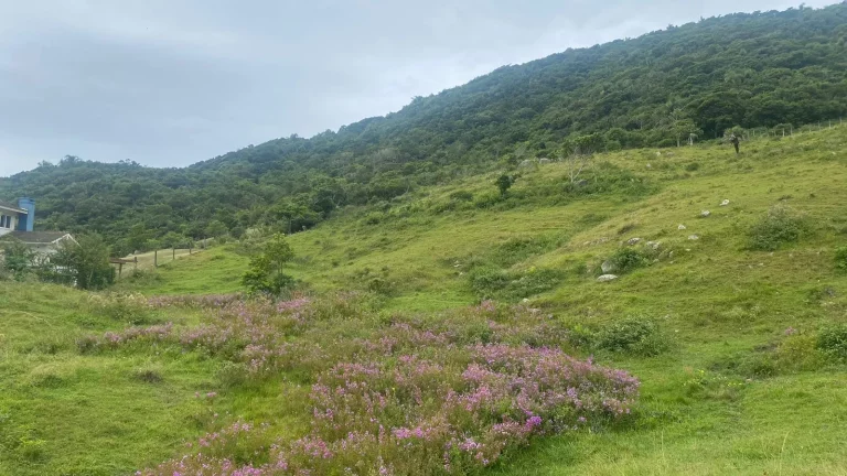 Imagem Terreno à venda na Praia da Silveira, Garopaba-SC: 1.550m² de oportunidade imperdível!