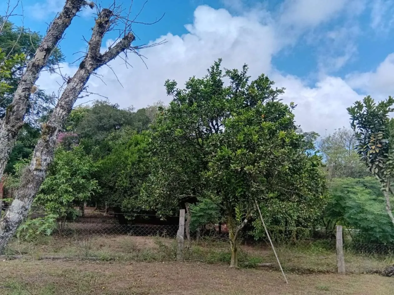 Imagem Sítio para Venda em Pelotas, Monte Bonito, 3 dormitórios, 1 banheiro, 1 vaga