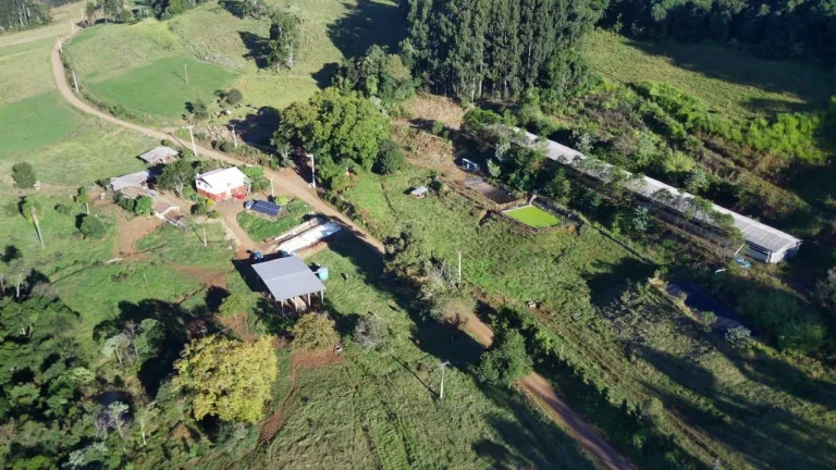 Imagem Área Agrícola para Venda em Concórdia, Interior