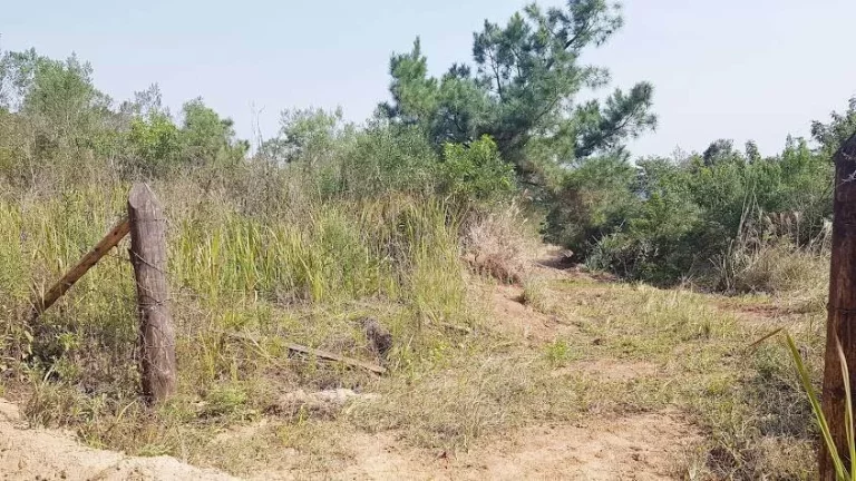 Imagem Área Rural para formar Chácara