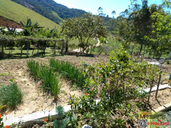 Imagem ?Sitio rural para Venda, em Major Gercino 3Km o centro. ?Com casa de madeira