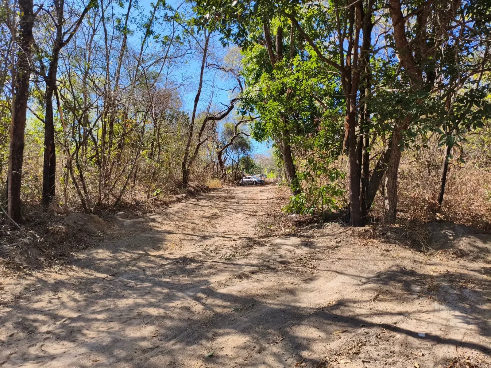 Imagem Chácara com 1 Quarto à Venda, 5.000 m² em Ravena - Sabará