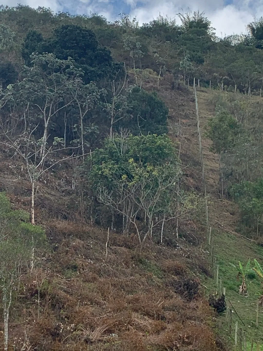 Imagem Terreno à venda 30000M², Mandú, Pindamonhangaba - SP