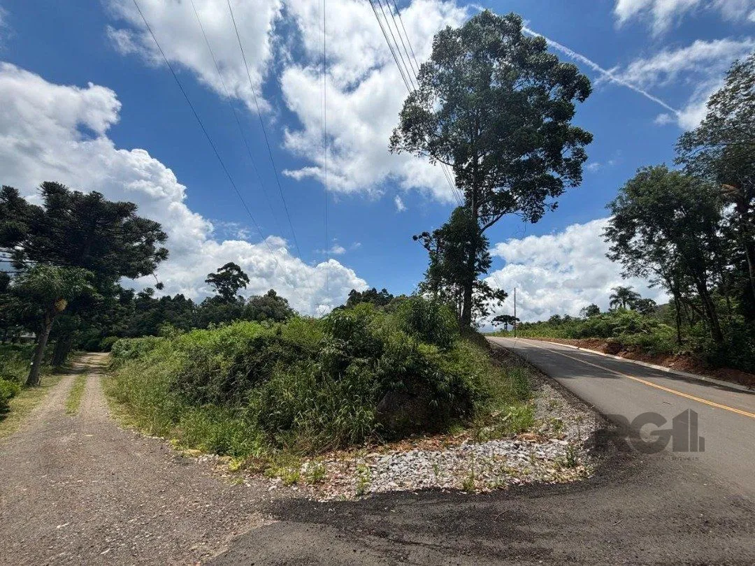 Imagem Lindo Sitio 5,4 ha a 7km do Lago Negro