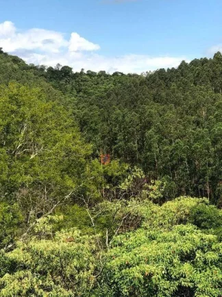 Imagem Fazenda à venda, 2178000 m² por R$ 11.600.000 - Jambeiro - Jambeiro/SP