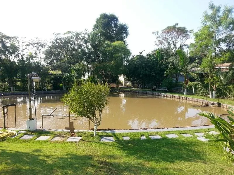 Imagem Chácara à venda 3 Quartos, 1 Suite, 4 Vagas, 5700M², Bom Sucesso, Pindamonhangaba - SP