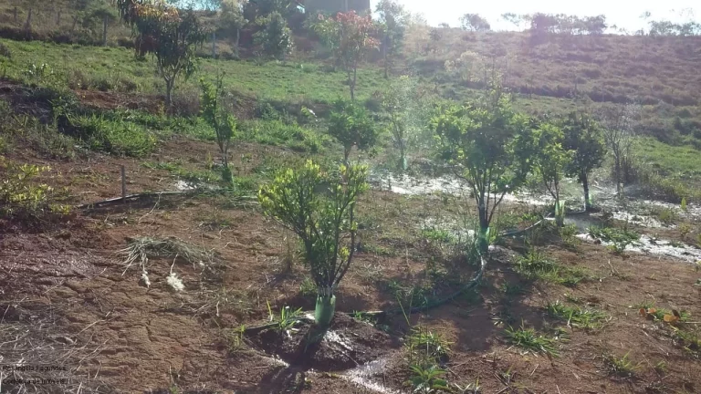 Imagem CHACARA RURAL em CALDAS - MG, Zona Rural