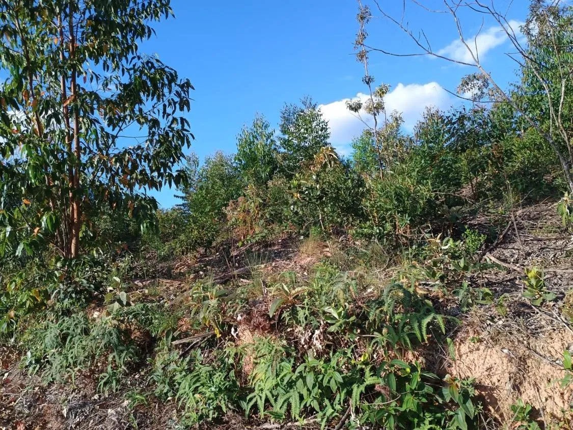 Imagem Excelente Terreno à Venda em Oliveira/MG: 34 Hectares com Boa Disponibilidade de Água