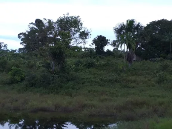 Imagem Oportunidade de adquirir uma grande área , em Rio Preto da Eva . com 15 mil hectares , escriturado e registrado