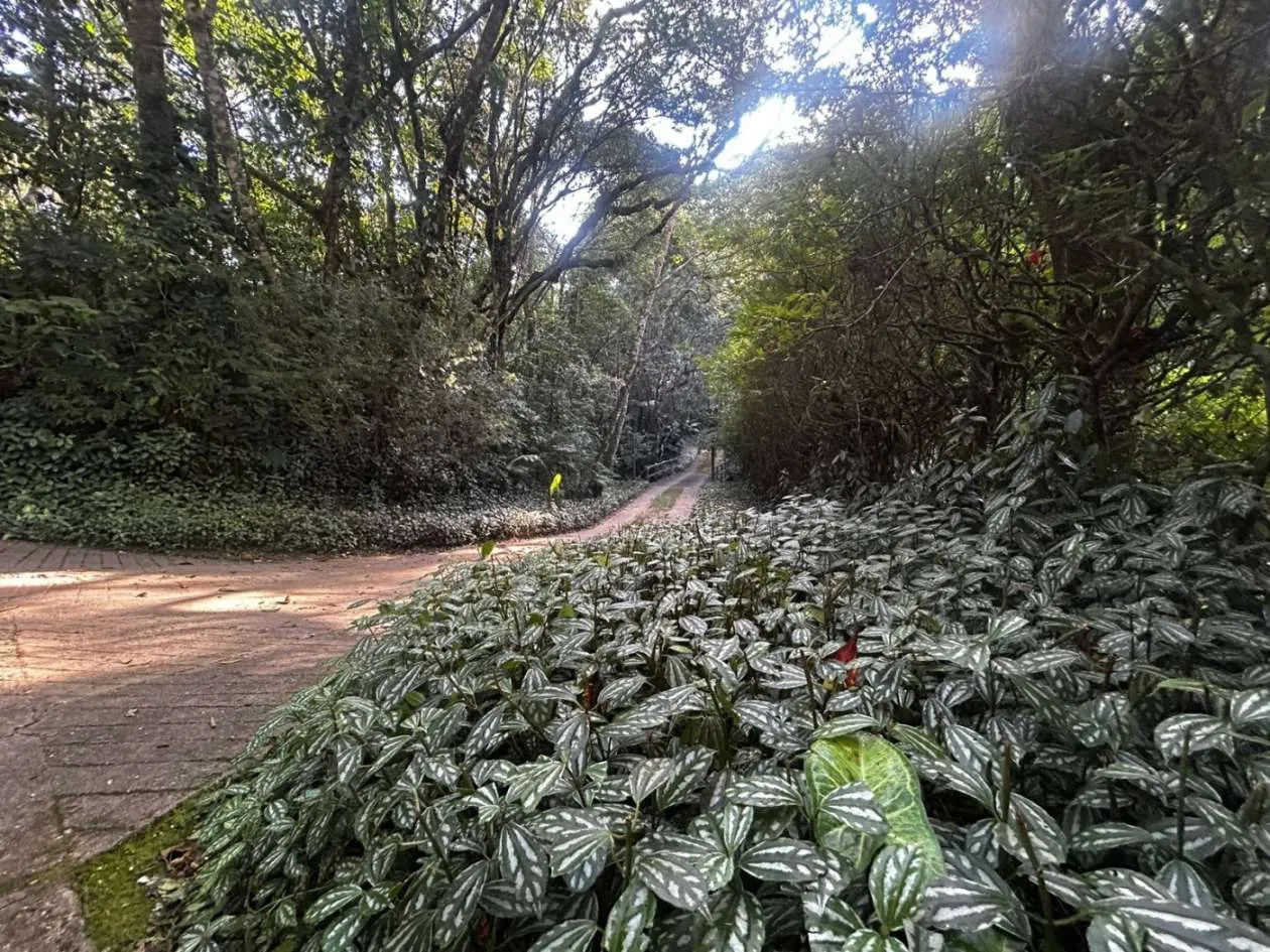Imagem Casa para Venda em Petrópolis / RJ no bairro Fazenda Inglesa