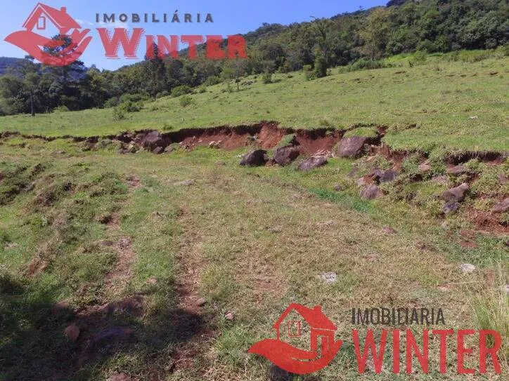 Imagem Fazenda de 61 hectares na cidade de Linha Nova.