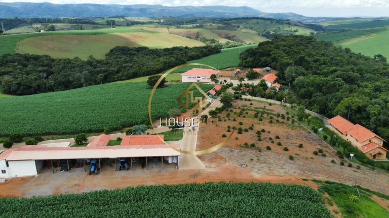Imagem Fazenda, 3 Casas, 171 hectares, criação Gado Nelore e Lavoura, Sul de MG.