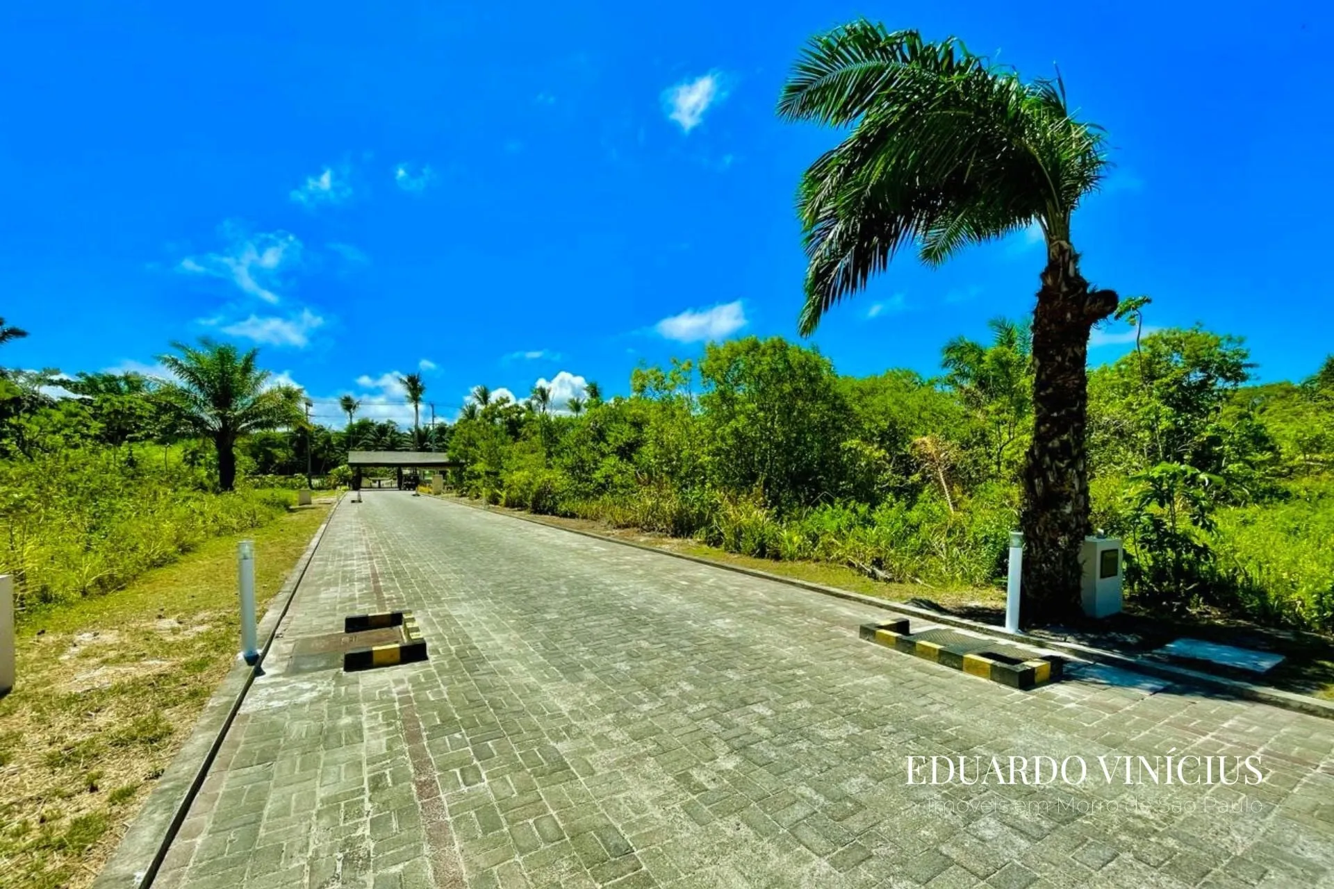 Imagem Dolce Vita Praia - Lote com 1.000m² em Condomínio de LUXO À Venda na Quarta Praia do Morro de São Paulo