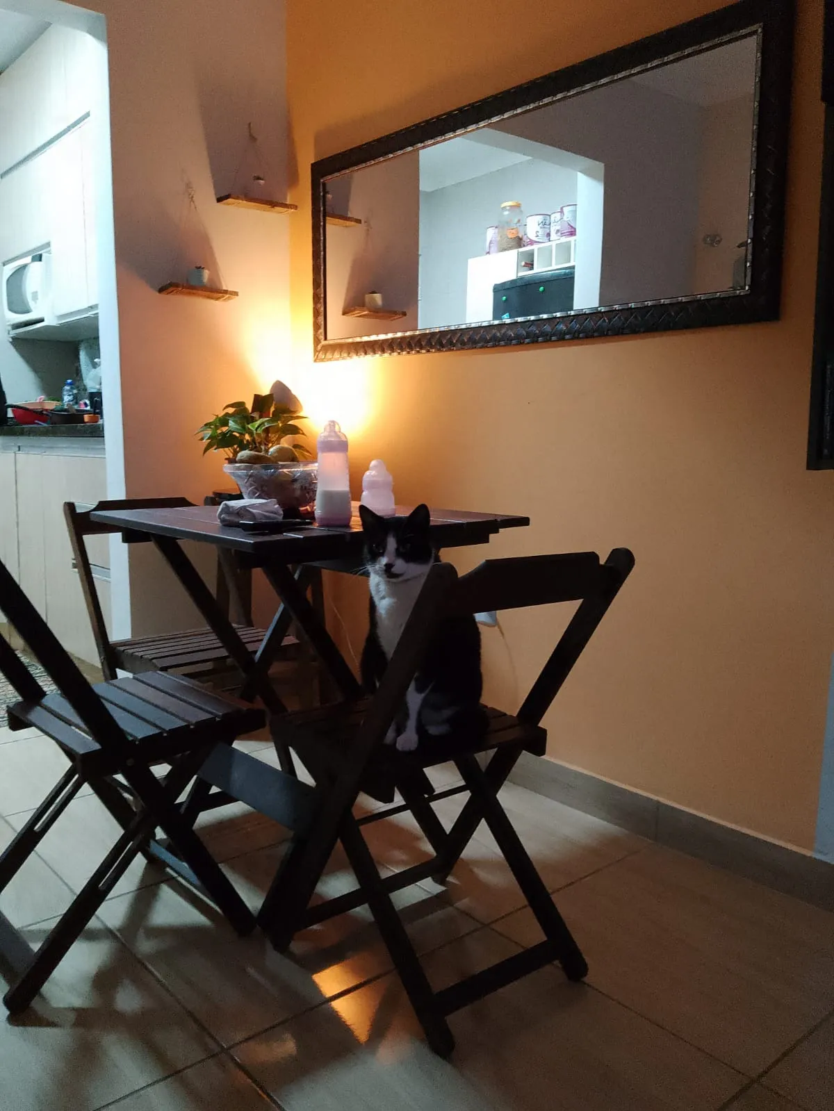 Imagem Casa 2 dormitórios Jardim Nikkey -Sorocaba/ SP