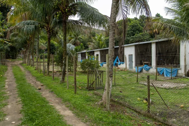 Imagem SITIO RESIDENCIAL em RIO DE JANEIRO - RJ, GUARATIBA