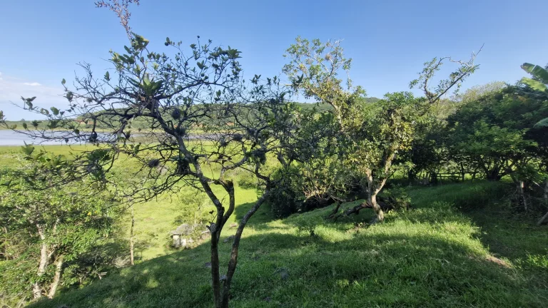 Imagem Área Exclusiva à venda com 12.500 m² no Macacu, Garopaba-SC: Vista para Lagoa e Mar.