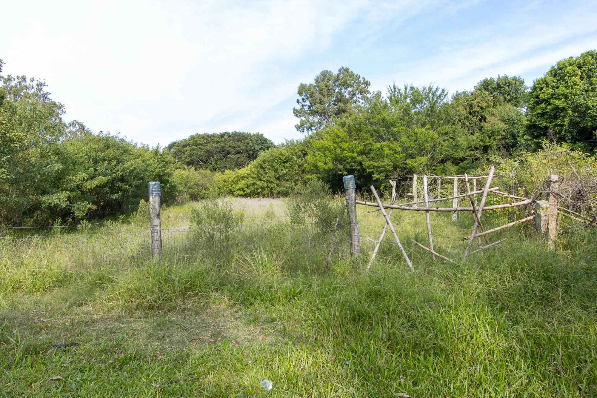 Imagem Área medindo 33.426m²!