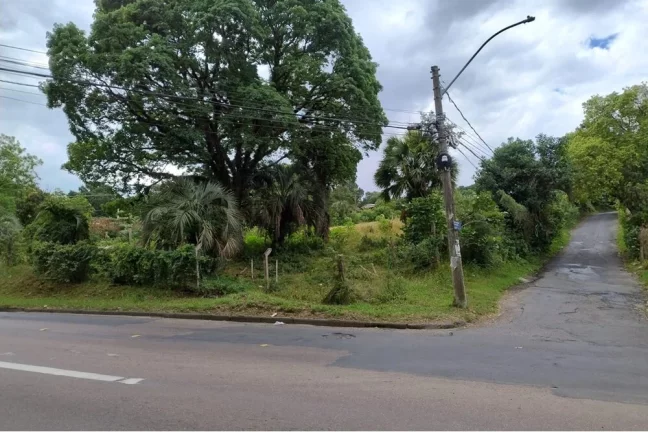 Foto do imóvel ADMDTM 1354 Lote 612481080-23 - Terreno à venda no bairro Aberta dos Morros - Porto Alegre/RS