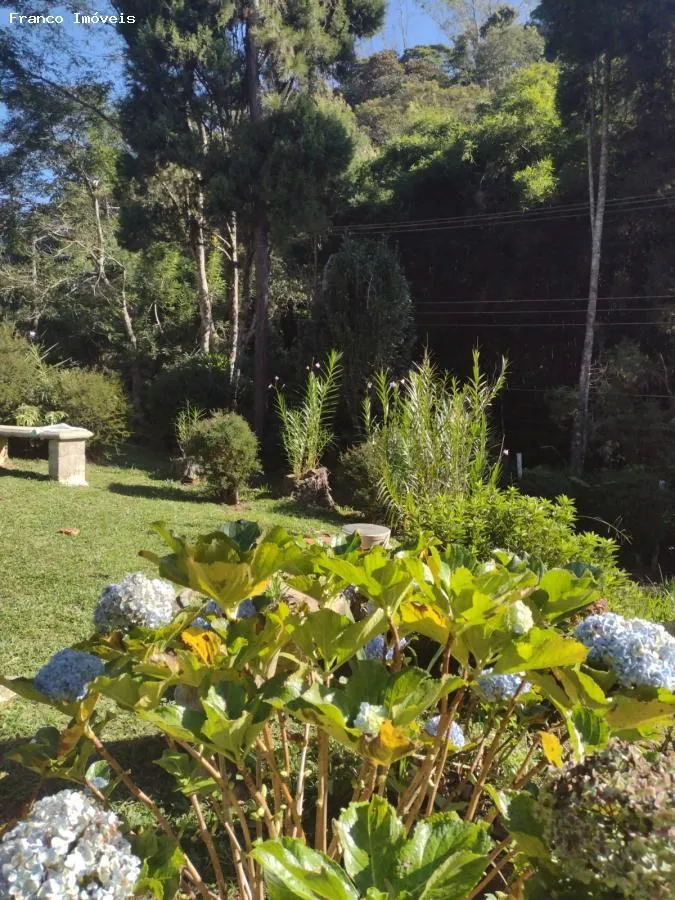 Imagem Sítio para Venda em Ribeirão Pires, Somma, 3 dormitórios, 1 suíte, 2 banheiros, 10 vagas