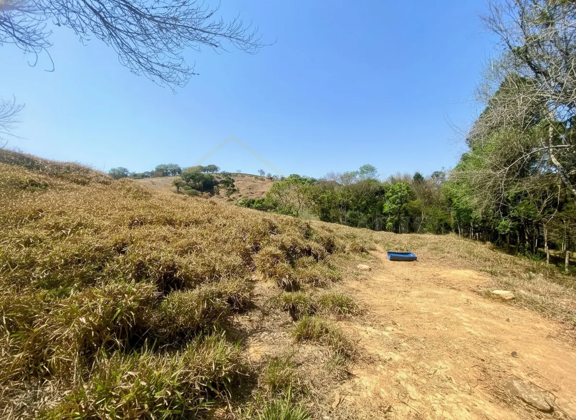 Imagem Sítio 2,42 ha à venda em Correias, Bandeira do Sul