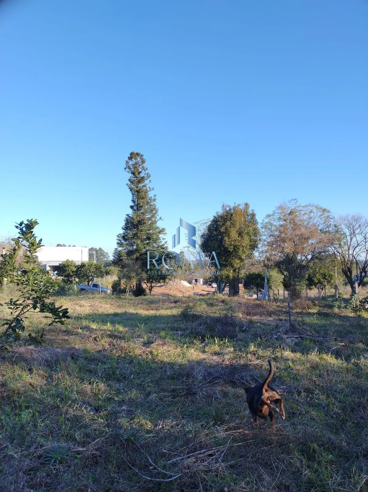 Imagem Terreno à venda Parque Serrano I Itaara/RS