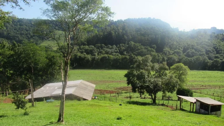 Imagem Área Agrícola para Venda em Concórdia, Interior