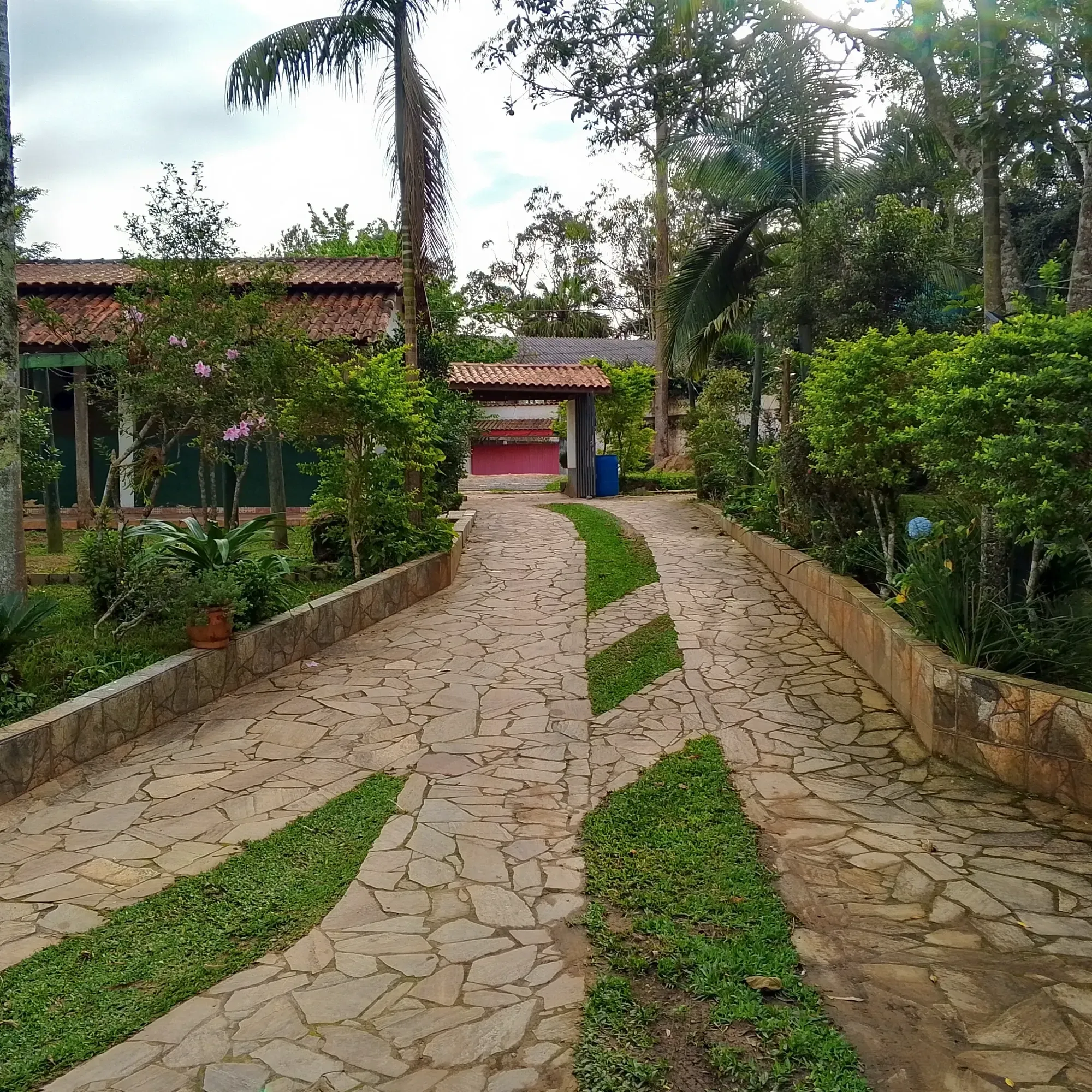 Imagem Chácara com 3 Quartos à Venda, 12.000 m² em Jardim das Cerejeiras - Cotia