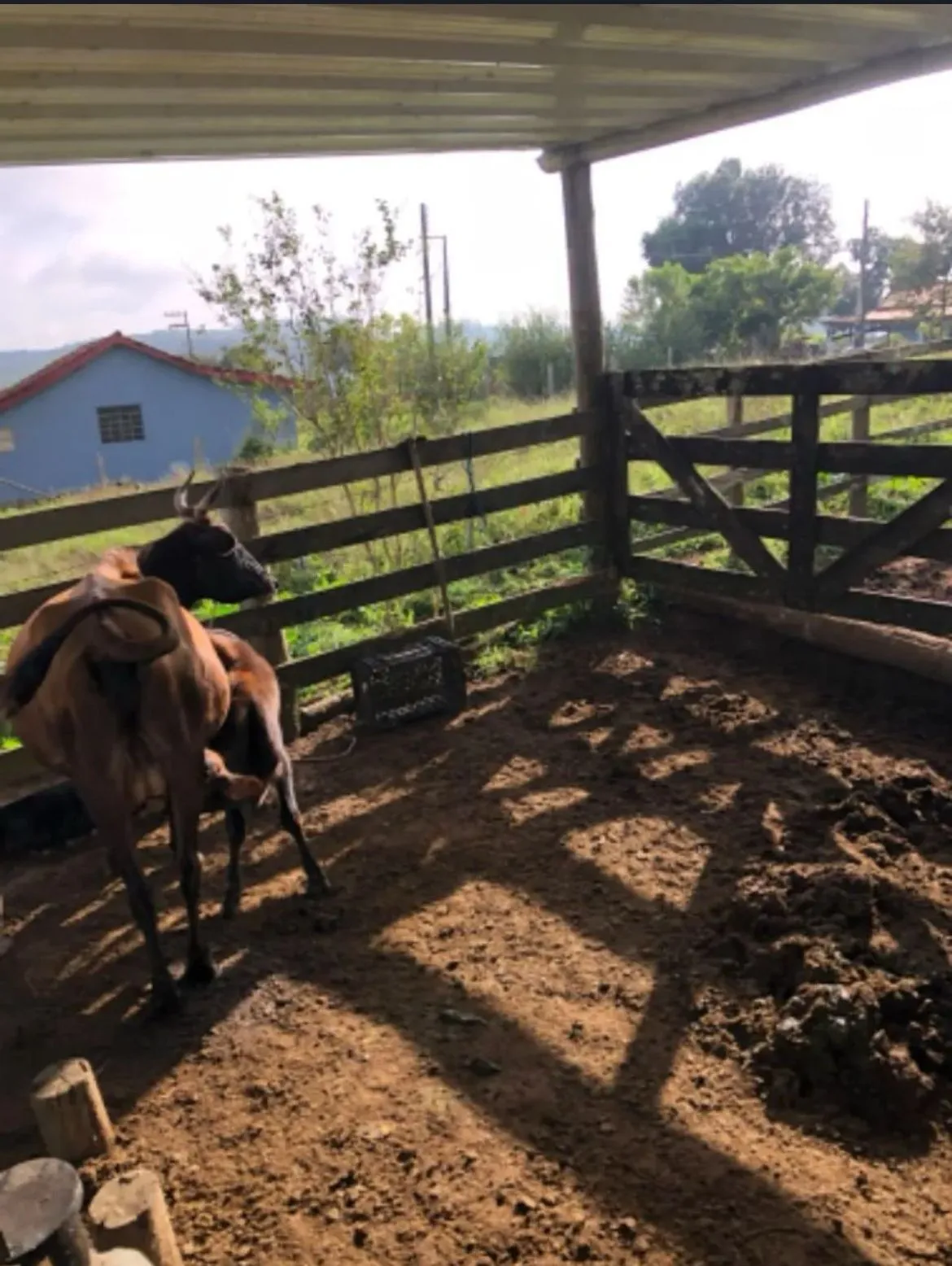 Imagem Propriedade incrível à venda em São Miguel Arcanjo - Potencial Produtivo e Lazer em Meio à Natureza