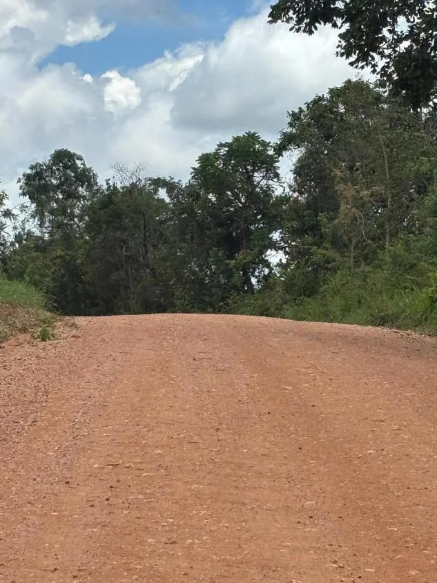 Imagem Vendo um ótimo sítio na região de Bom Despacho , com 18.600 m² de terra