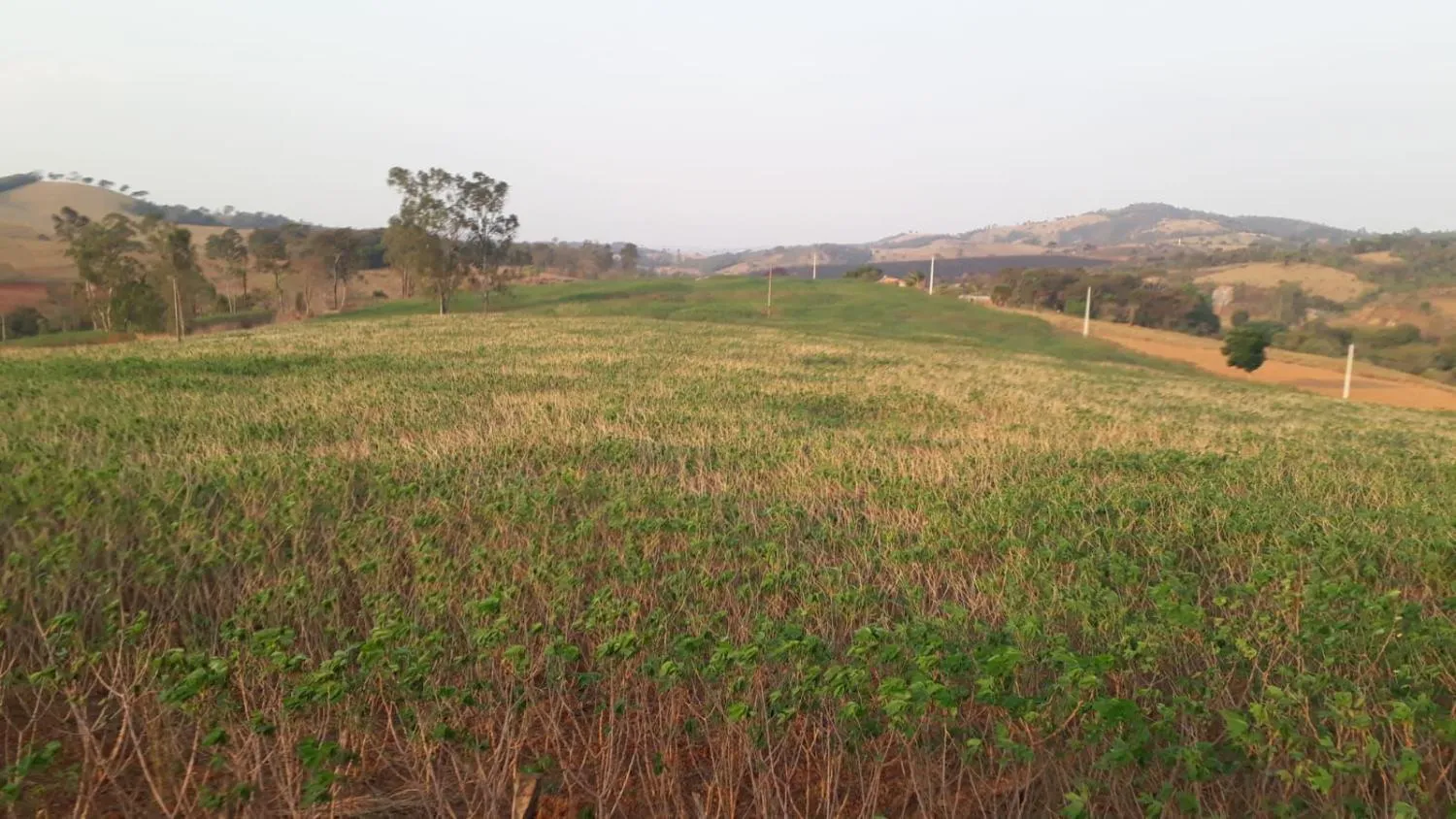 Foto do imóvel CHÁCARAS À VENDA EM CRUCILÂNDIA - MG com 10.000 m², toda plana