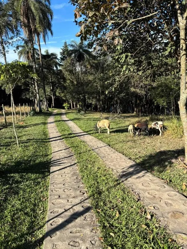 Imagem Excelente sítio a venda com 2 hectares, OU SEJA, ( 20.000 M² ) em Betim