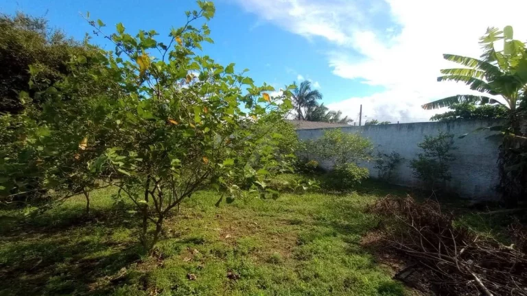 Imagem IMÓVEL COMERCIAL MEDINDO 1434,45M², AV. CELSO RAMOS, ITAPOÁ