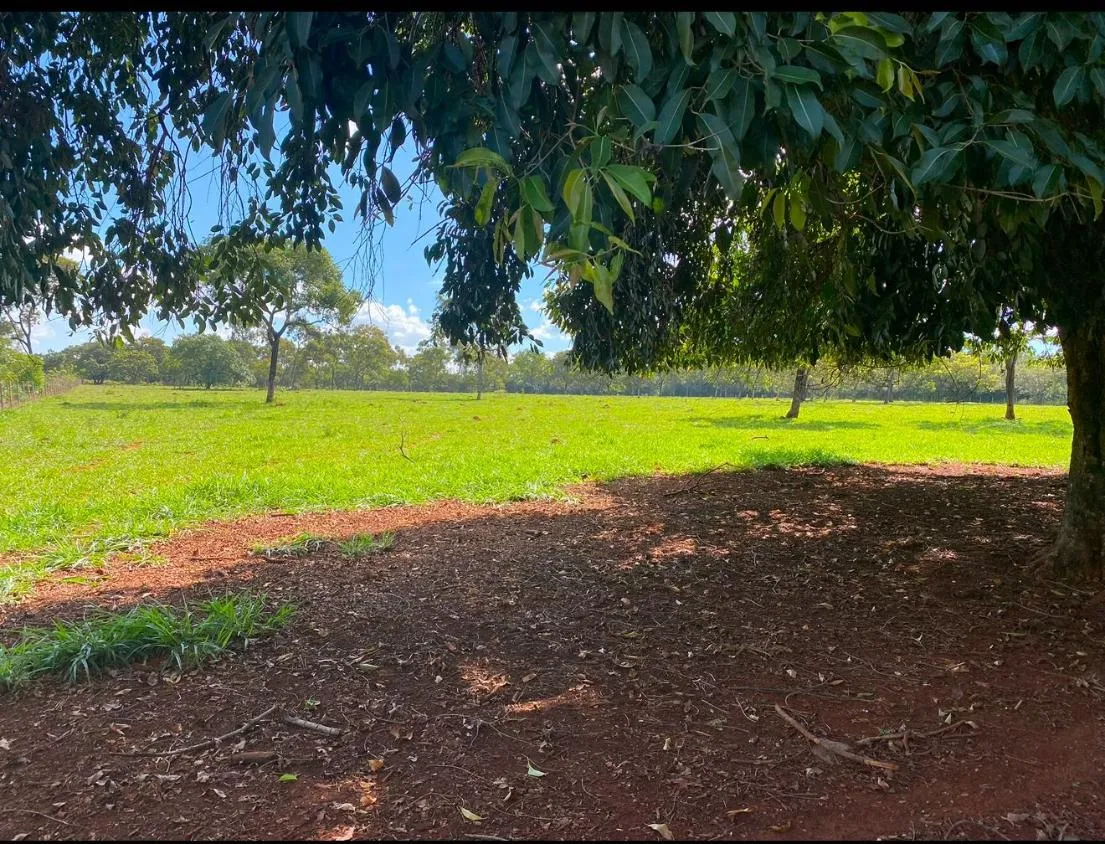 Imagem Vendo um belíssimo sítio/ fazendinha em Paraopeba/MG, com 12 hectares de terra
