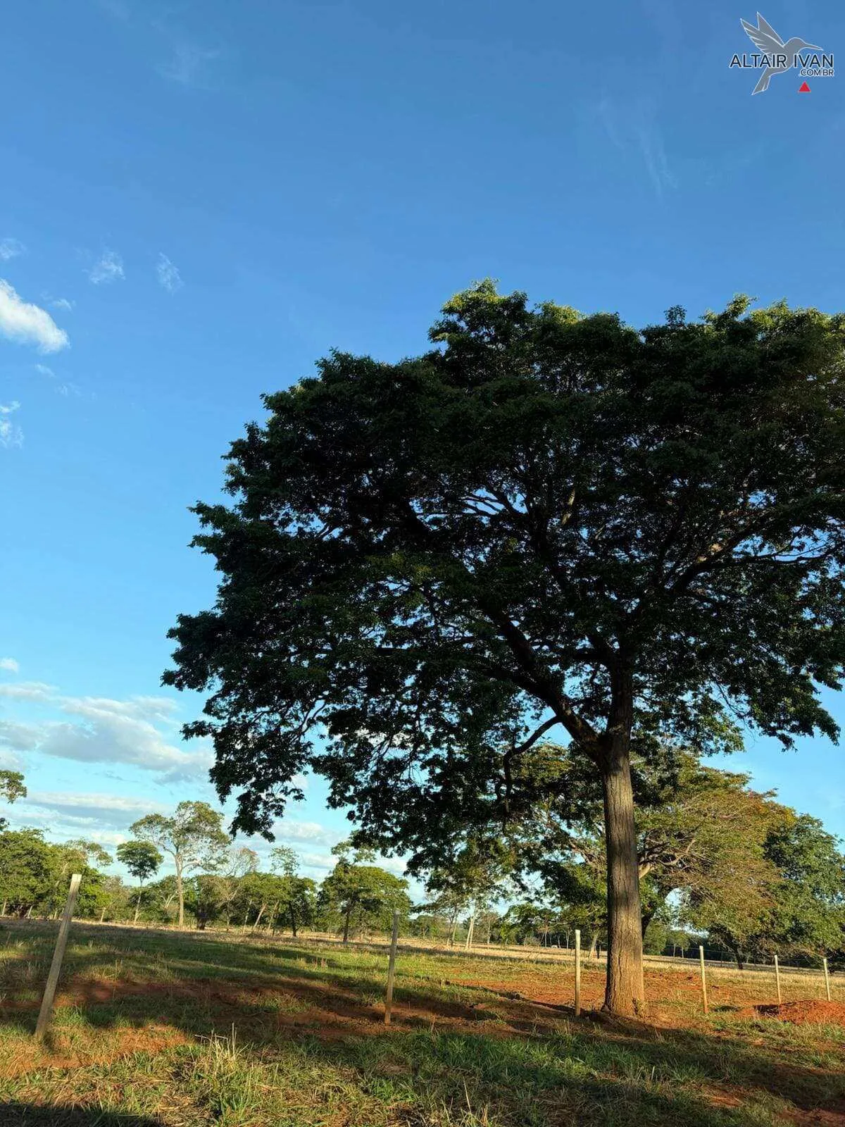 Imagem Fazenda em Bocaiuva MG