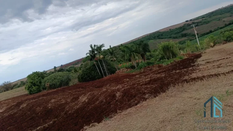 Imagem Sitio 5 alqueires, no América da colina a 3 km do centro da cidade - PR